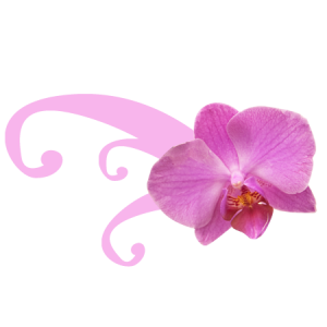 stickers-orchidee-design-R1-74244-2